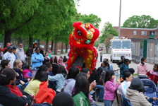 The Chinese Lion Dance